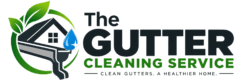 Gutter Cleaning